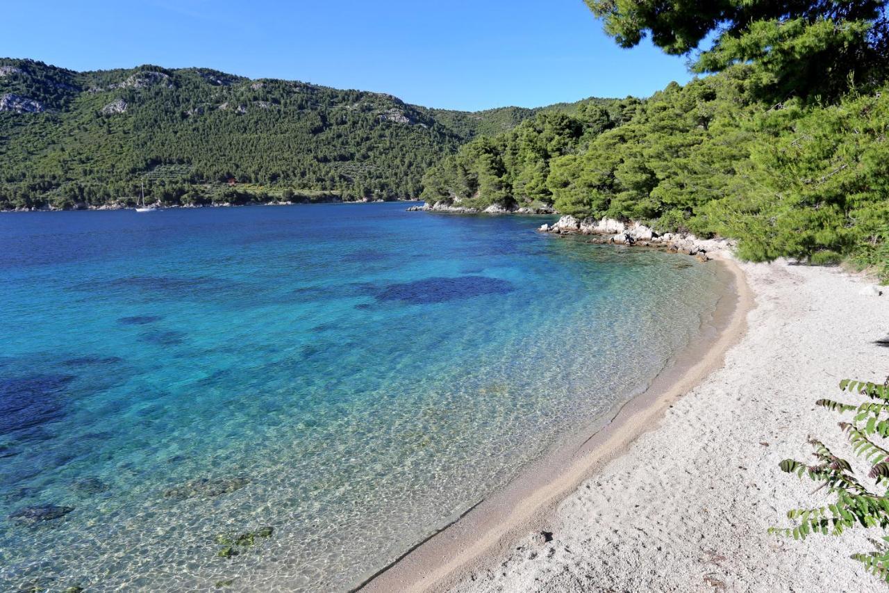 Apartments By The Sea Zuljana, Peljesac - 19080 Zewnętrze zdjęcie